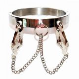 Unisex Luxury Stainless Steel Heavy Duty Collar with Japanese Clover Clamps - 