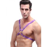BDSM () - Sexy Mens Climbing Harness Purple