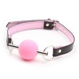 Metal Rod Silicone Ball Gags Pink - 