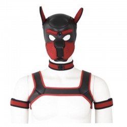 BDSM () -      Dog Bondage Gear Kit Red